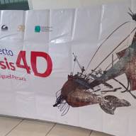 Arte, Educación y Compromiso social: Bienvenida a la Generación 2026 de la UNAM